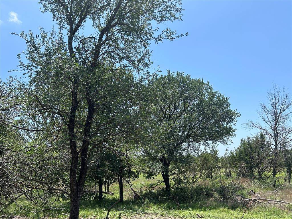 Goldthwaite, TX 76844,TBD U.S. Hwy 84 W