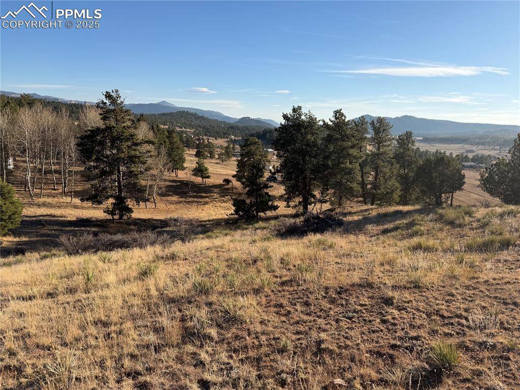 Florissant, CO 80816,71 Elkhorn CIR