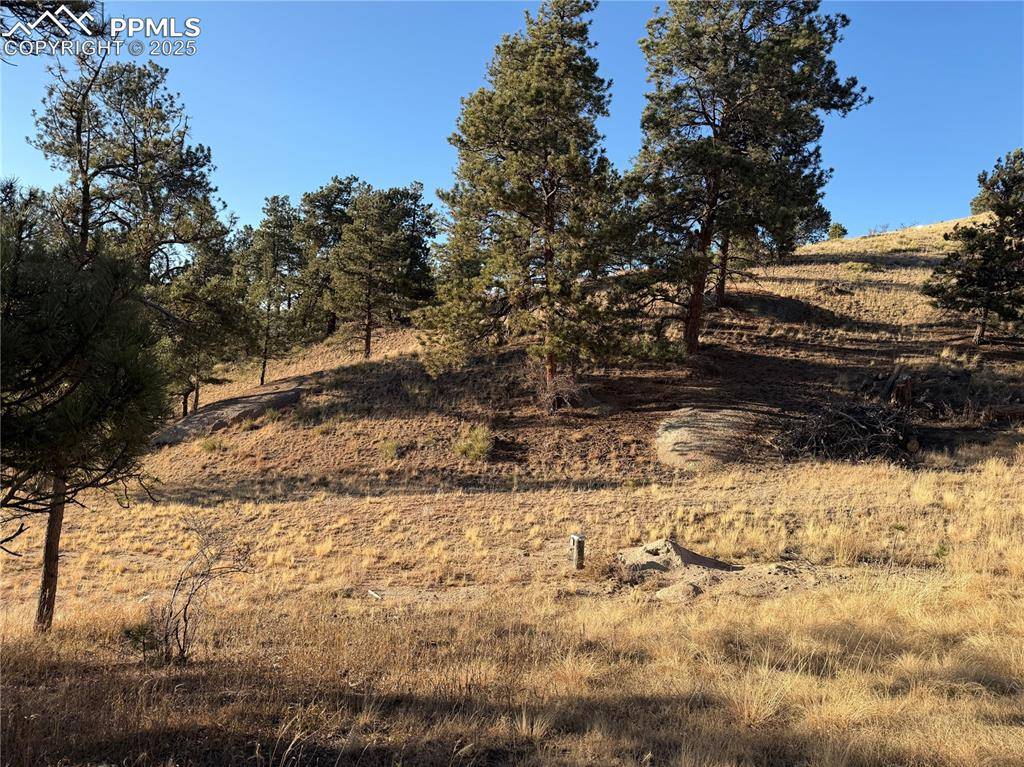 Florissant, CO 80816,71 Elkhorn CIR