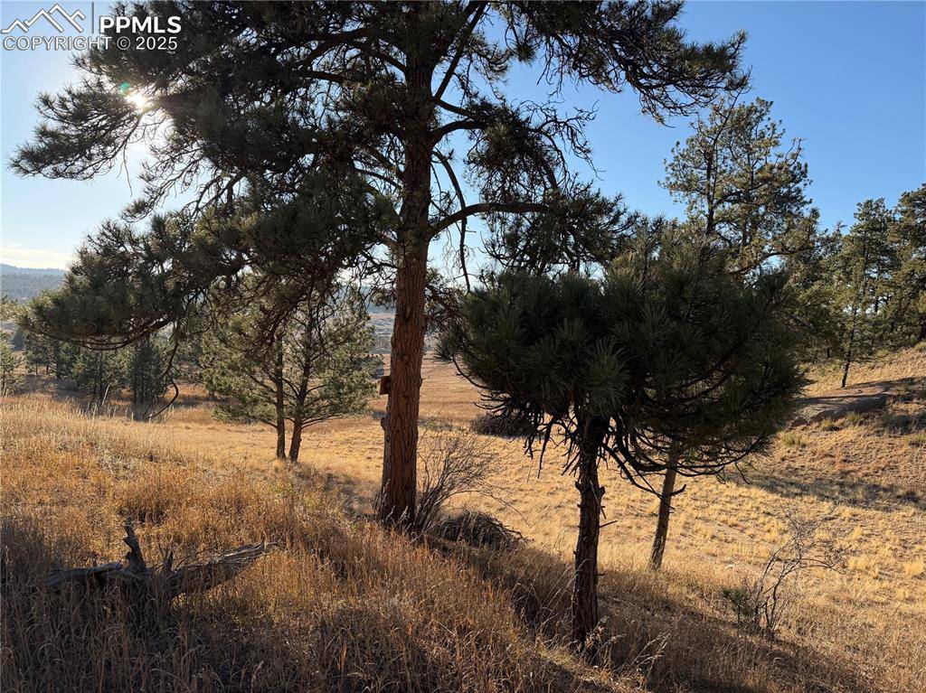 Florissant, CO 80816,71 Elkhorn CIR