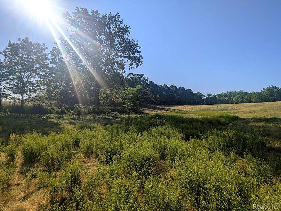 Linden, MI 48451,Parcel A - Rolston RD