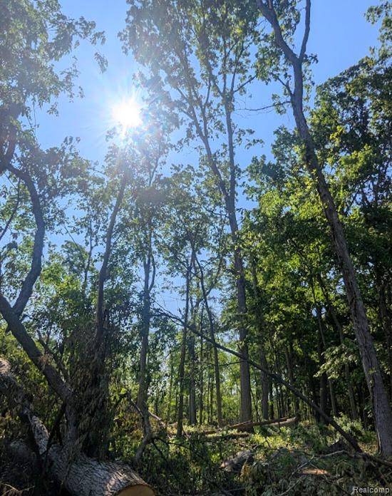 Linden, MI 48451,Parcel A - Rolston RD