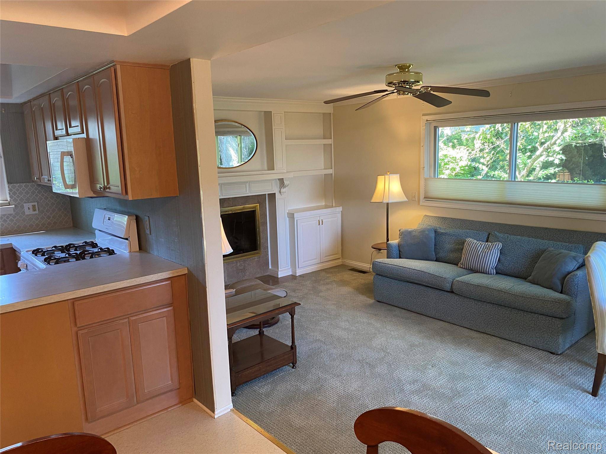 Plymouth, MI 48170,11397 Parkview DR