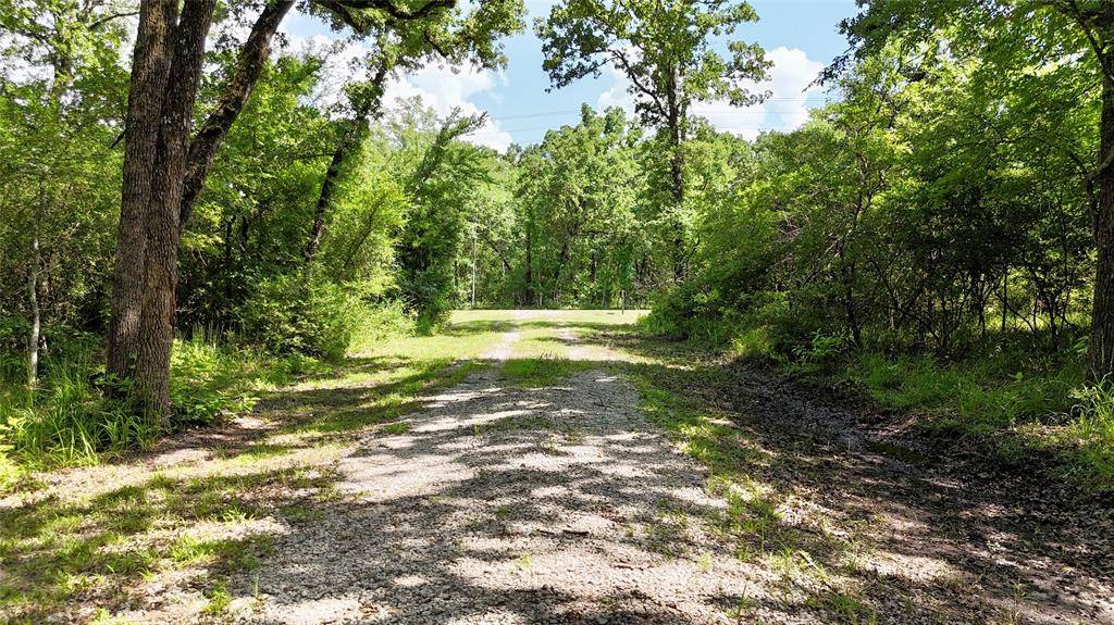 Eustace, TX 75124,12756 Hidden Acres Road