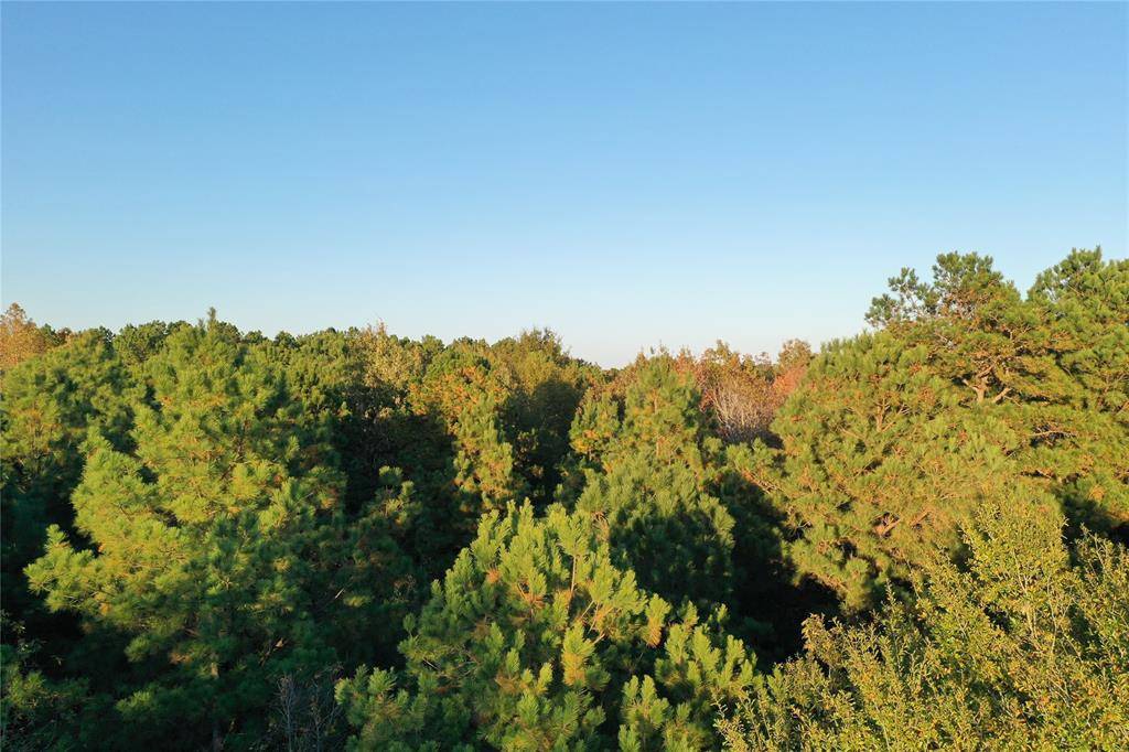 Douglassville, TX 75560,0 Co Rd 2117