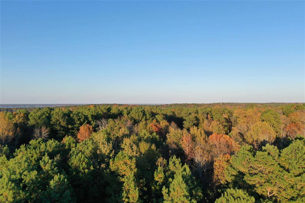 Douglassville, TX 75560,0 Co Rd 2117