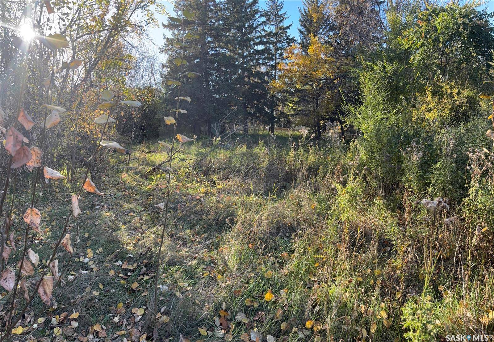 Manitou Beach, SK S0K 4T1,208 Winnipeg STREET