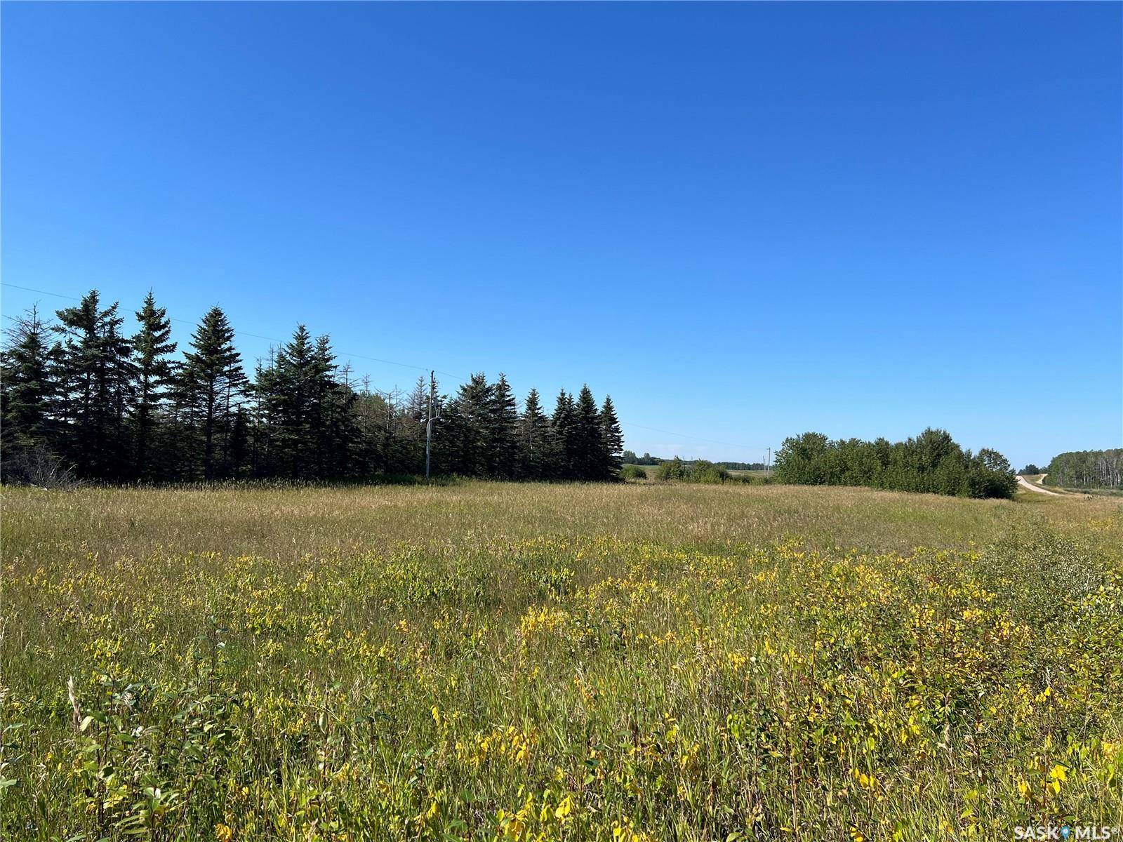 Meadow Lake Rm No.588, SK S9X 1Y1,Rural Address