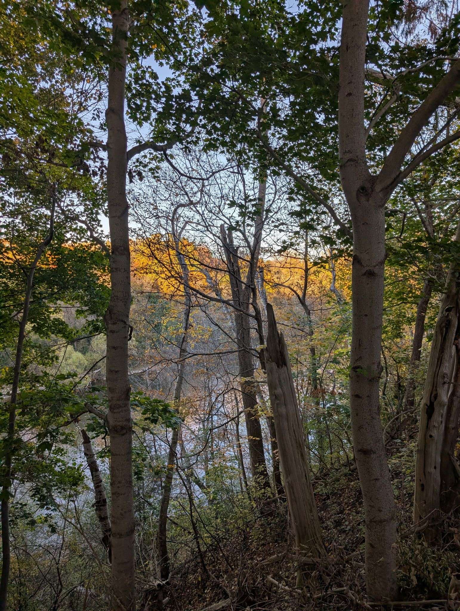 London South, ON N6K 1E2,1385 Commissioners RD W #62