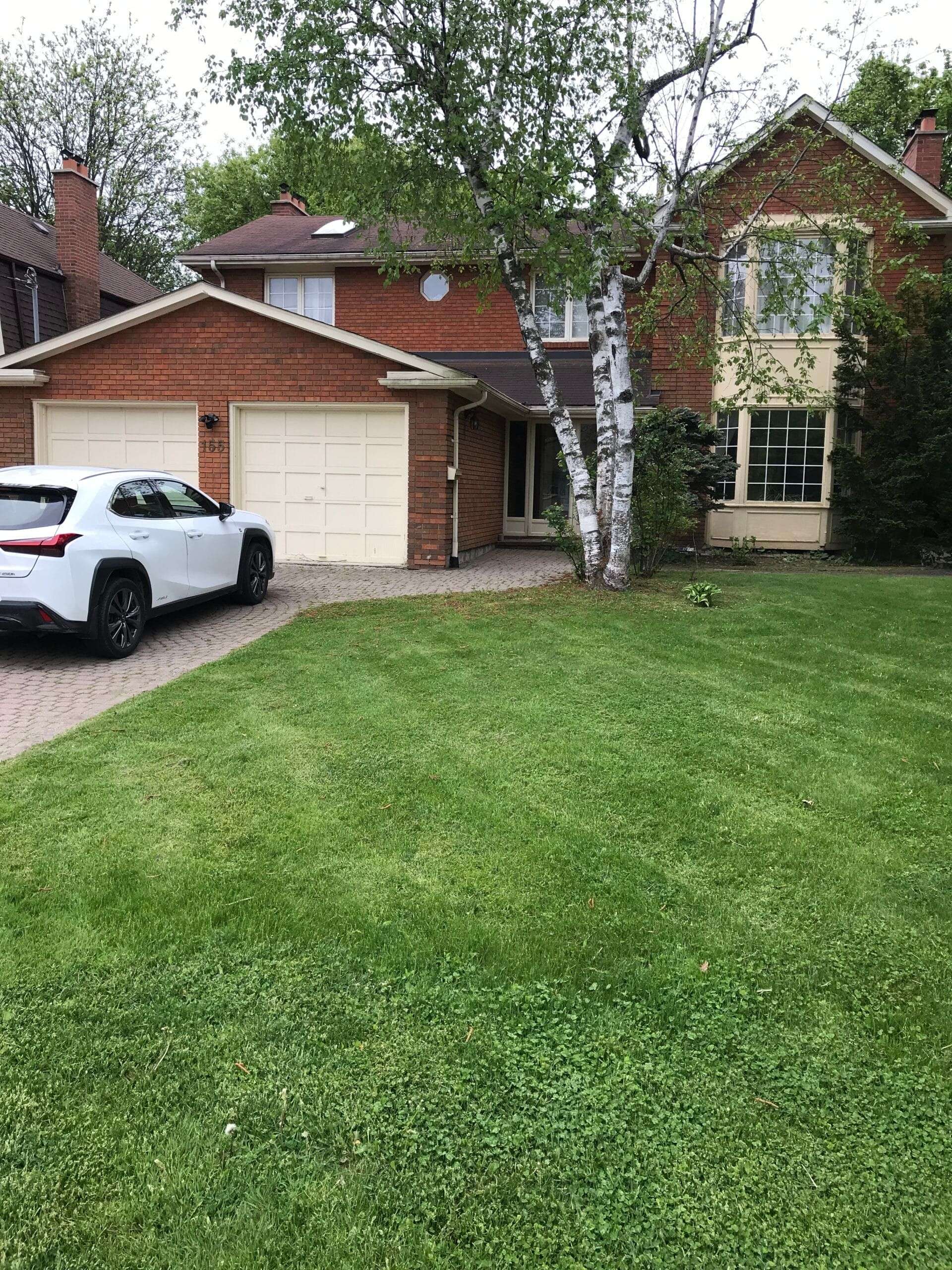 Toronto C12, ON M2L 1H2,155 Highland CRES #Lower