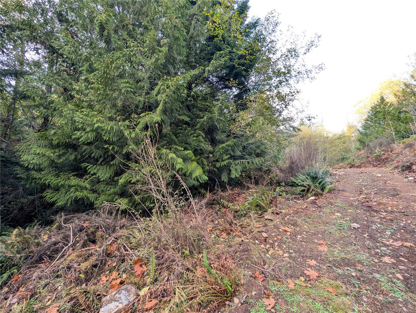 Shawnigan Lake, BC V8H 2J1,Lot 18 Eagle Dr