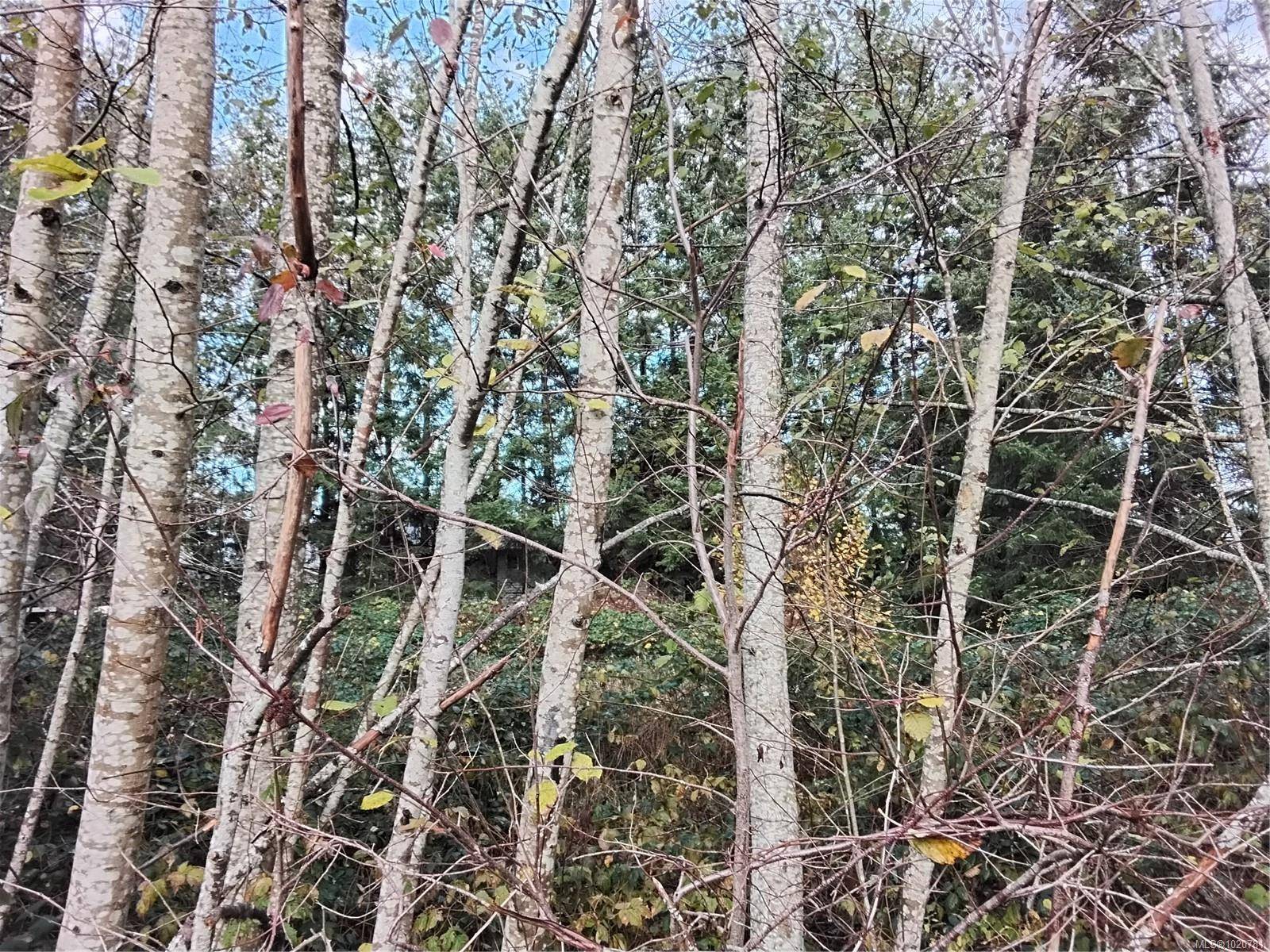 Courtenay, BC V9N 7E4,Lot E Tatton Rd