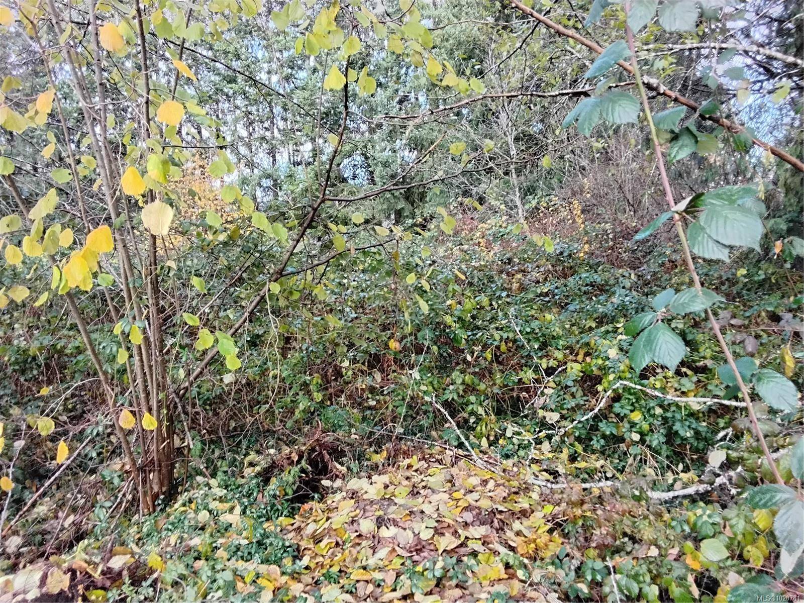 Courtenay, BC V9N 7E4,Lot E Tatton Rd