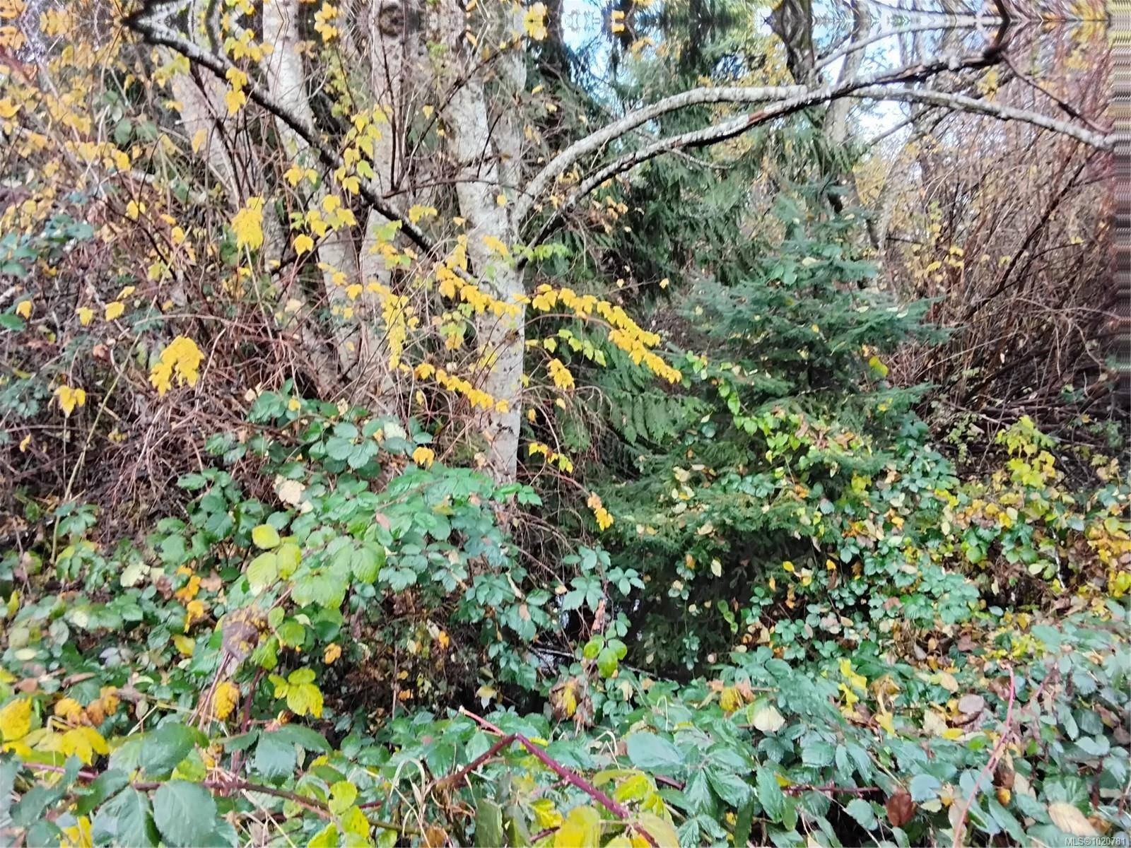 Courtenay, BC V9N 7E4,Lot E Tatton Rd