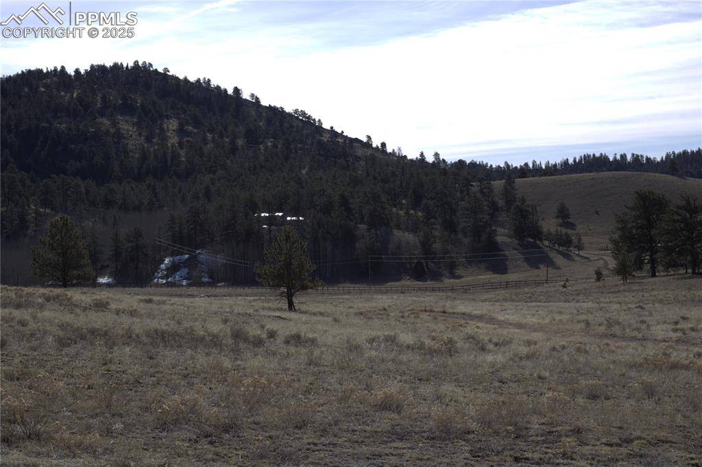 Guffey, CO 80820,2450 Antelope LN