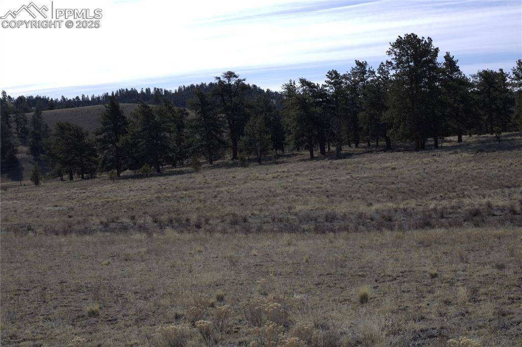 Guffey, CO 80820,2450 Antelope LN