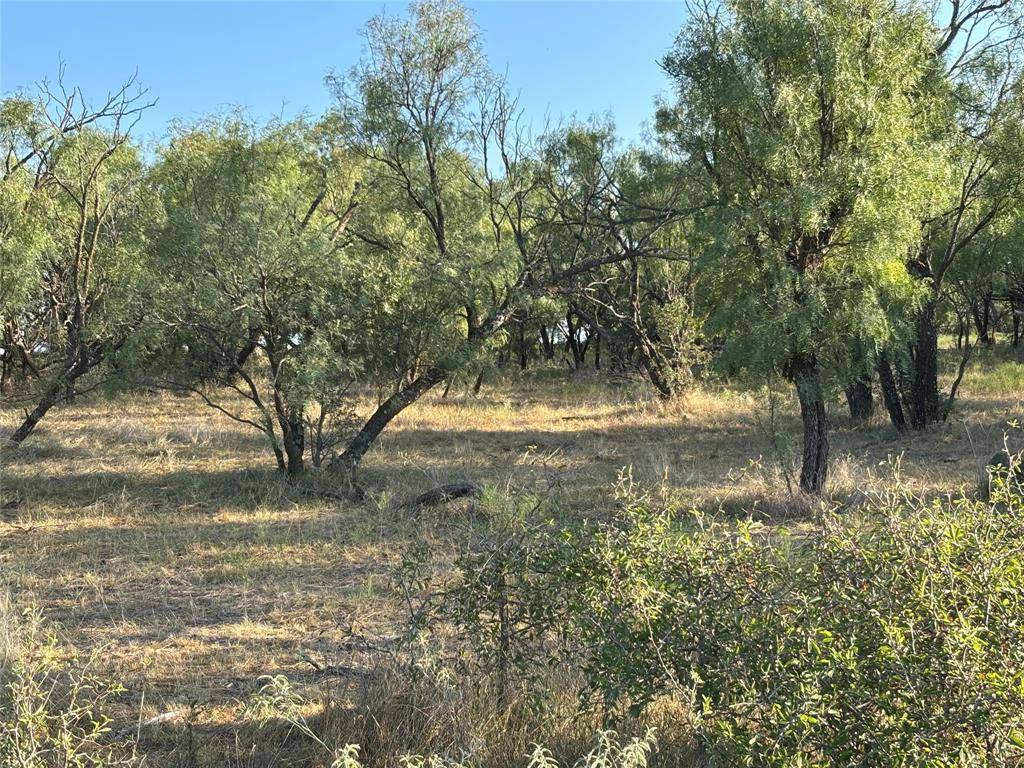 Abilene, TX 79601,TBD County Road 100