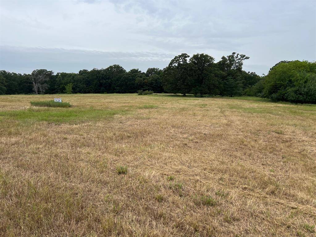 Dike, TX 75437,TBD County Road 3515