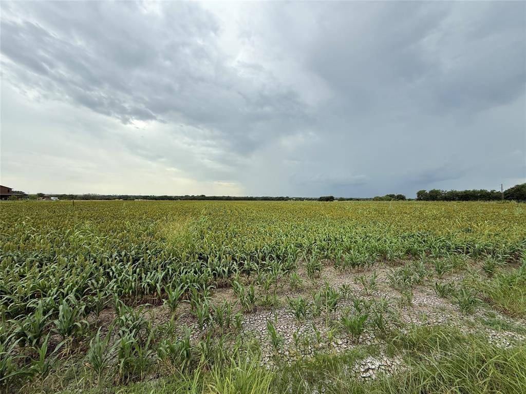 Gainesville, TX 76240,000 County Road 237