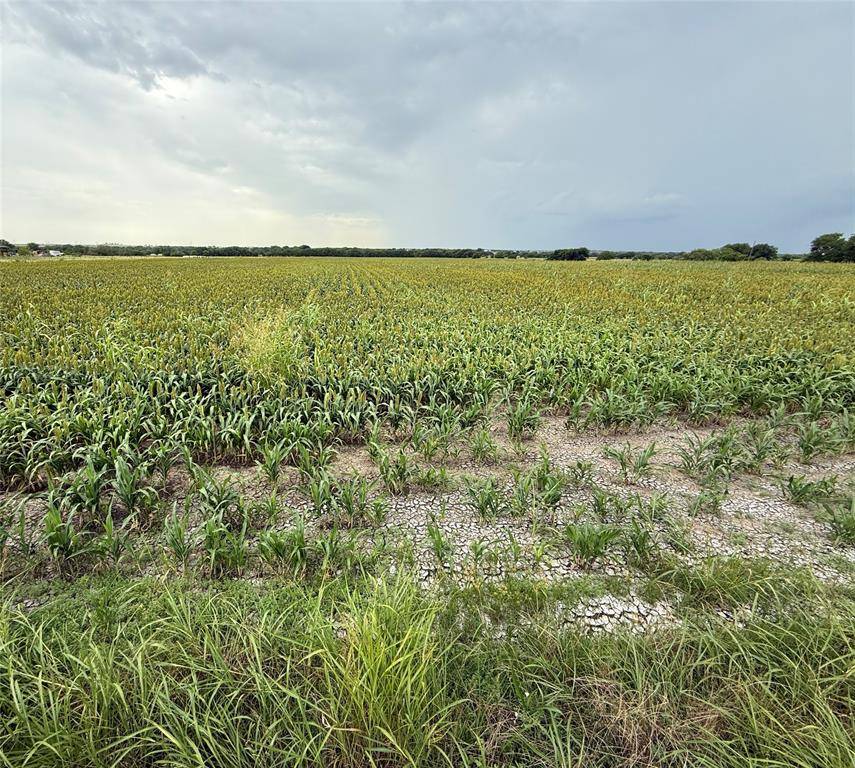 Gainesville, TX 76240,000 County Road 237