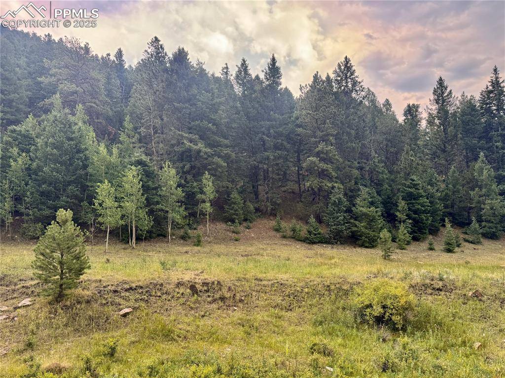 Cripple Creek, CO 80816,278 Penrose CIR