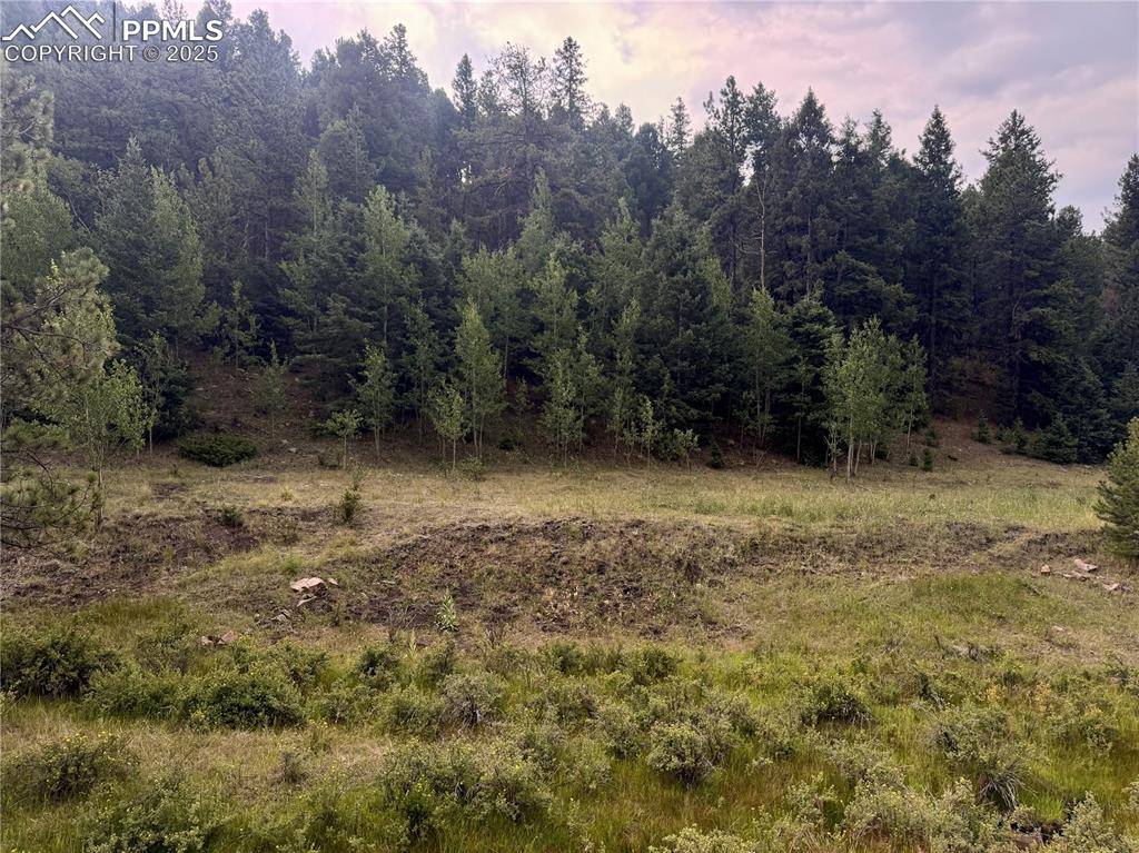 Cripple Creek, CO 80816,278 Penrose CIR