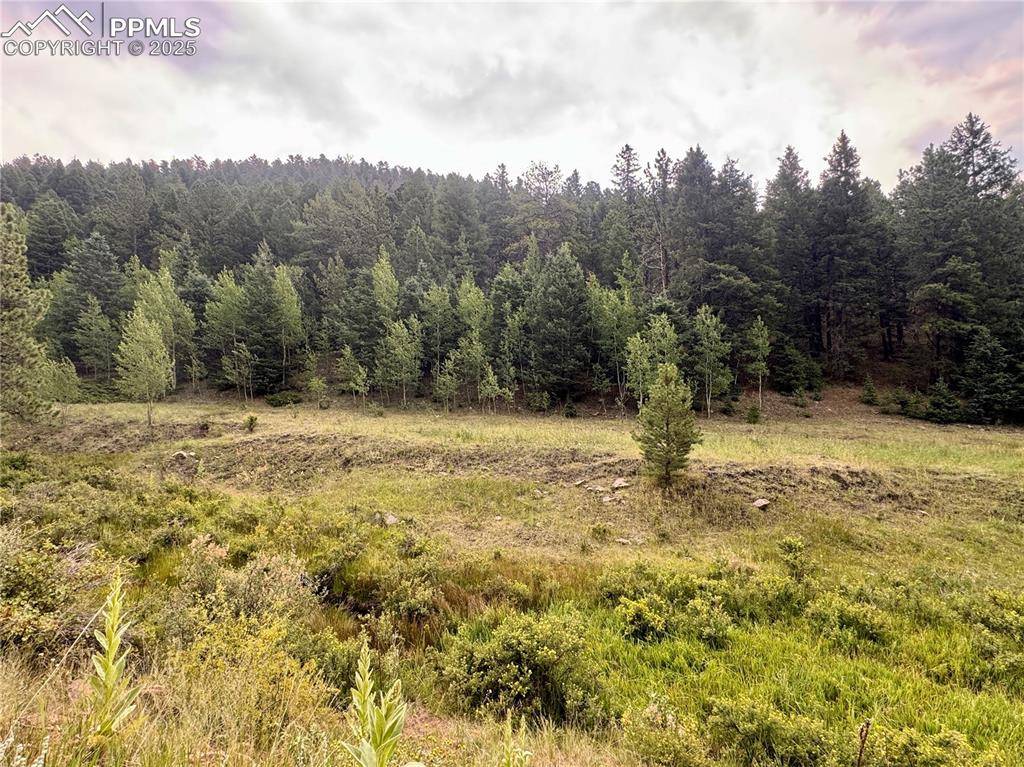 Cripple Creek, CO 80816,278 Penrose CIR