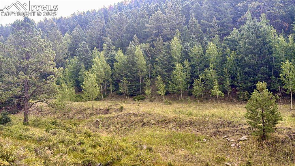 Cripple Creek, CO 80816,278 Penrose CIR