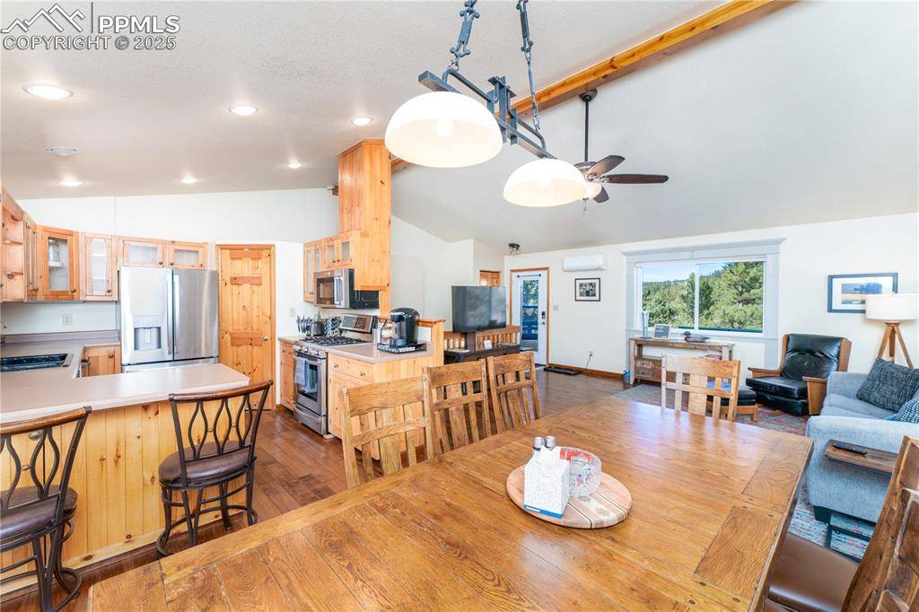 Florissant, CO 80816,517 Crystal Peak RD