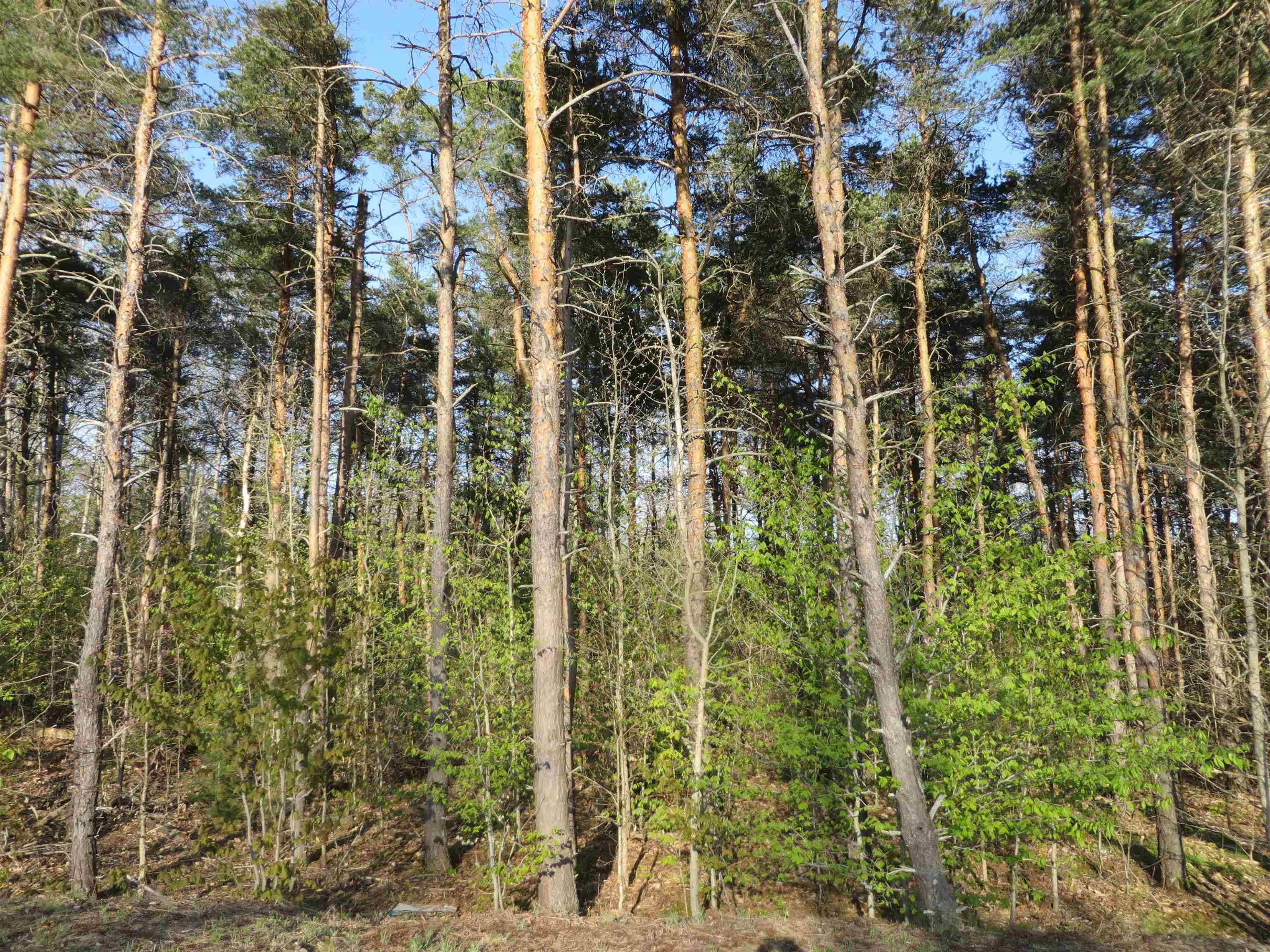 Fife Lake, MI 49633,612 Merritt