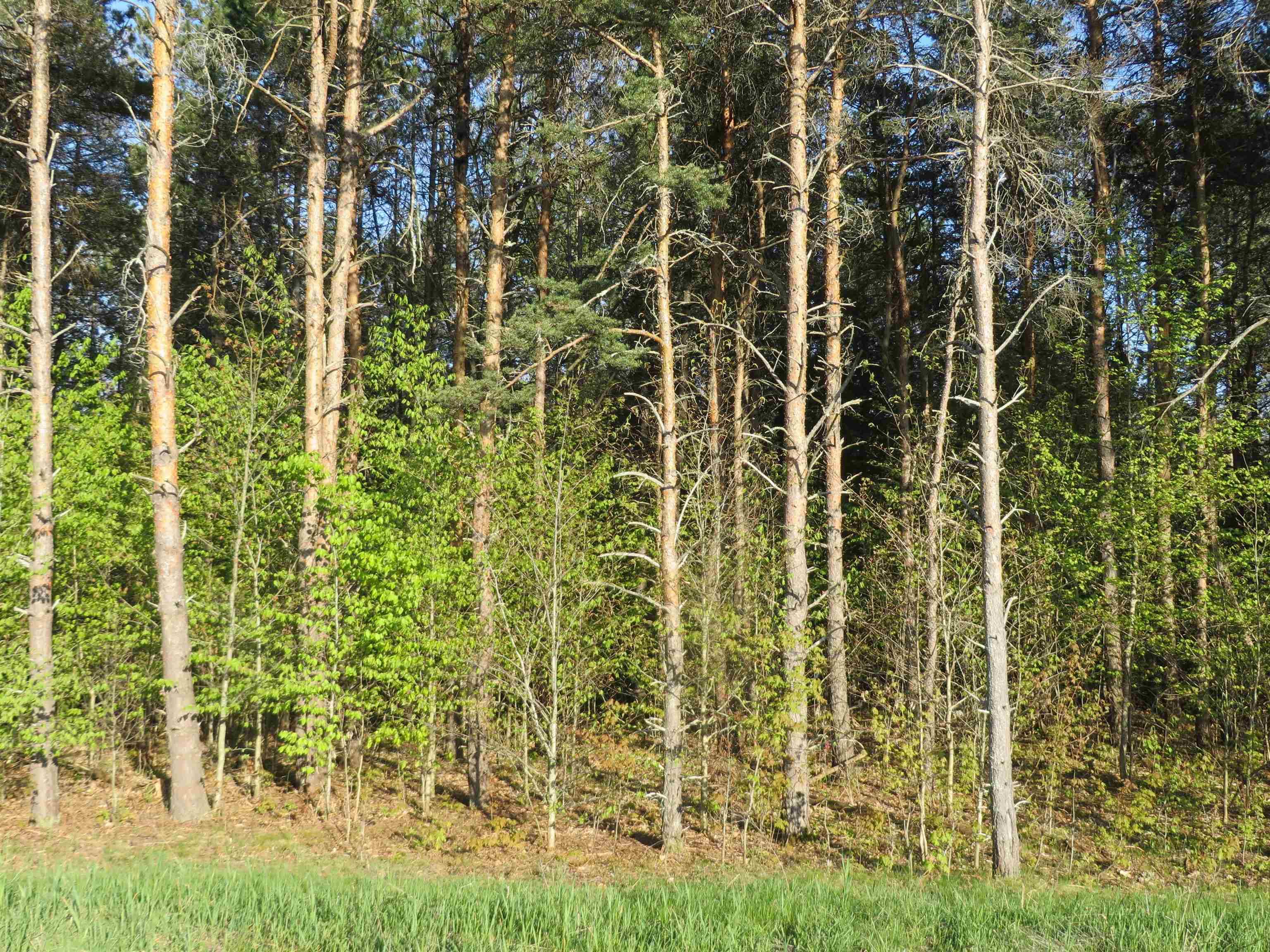 Fife Lake, MI 49633,612 Merritt