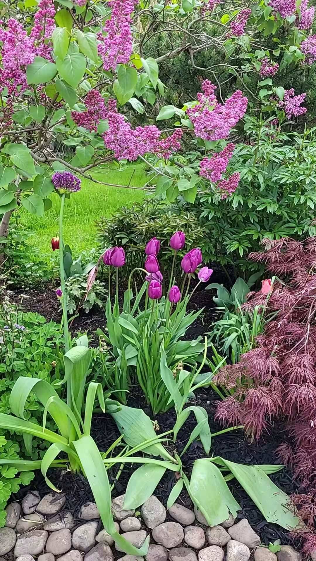 Toronto C15, ON M2J 2E7,103 Glentworth RD