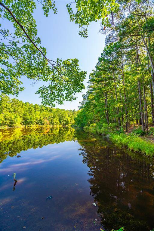 Douglassville, TX 75560,0 State Highway 8