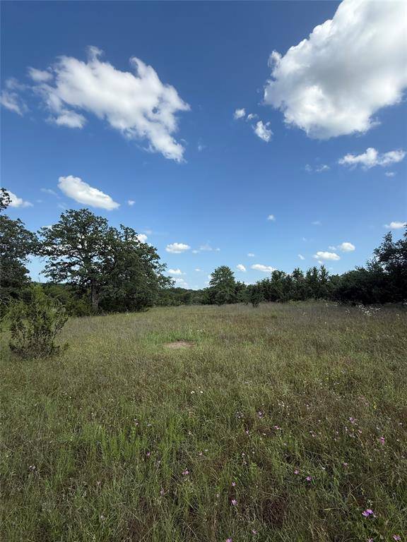 Glen Rose, TX 76043,TBD CR 2730