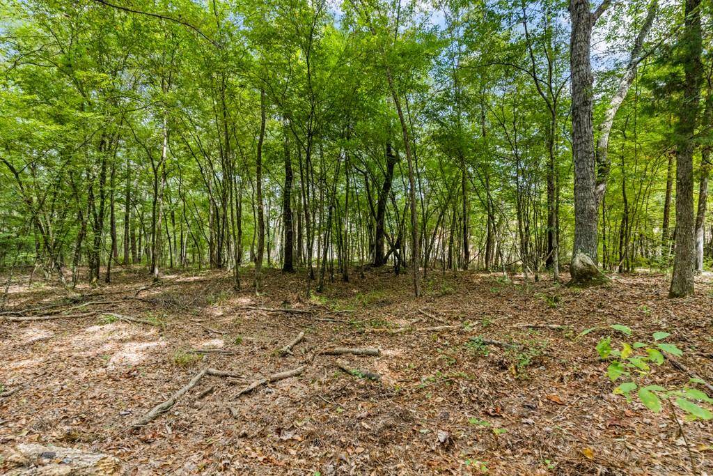 Hughes Springs, TX 75656,TBD County Road 2993, 28 Ac