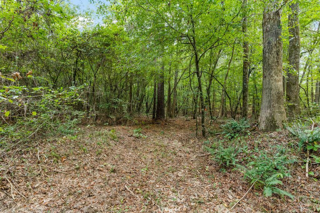 Hughes Springs, TX 75656,TBD County Road 2993, 28 Ac