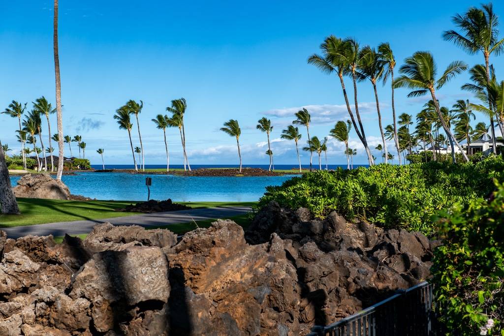 Kamuela, HI 96743,68-1028 HONOKAOPE PL