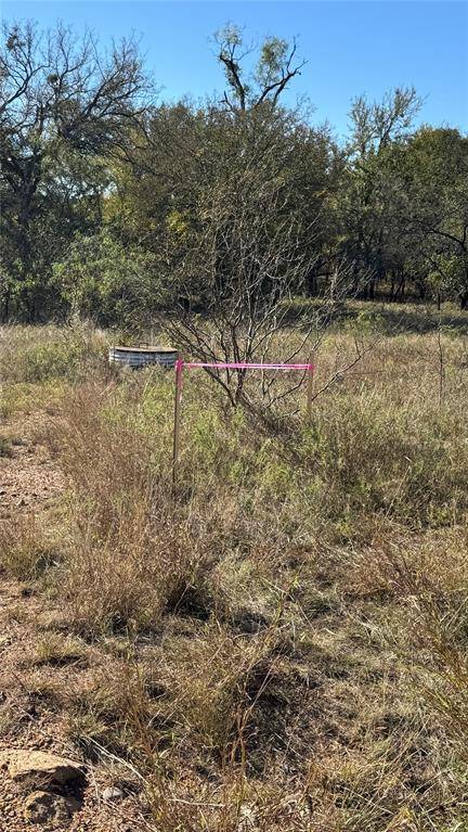 Eastland, TX 76437,TBD County Road 156