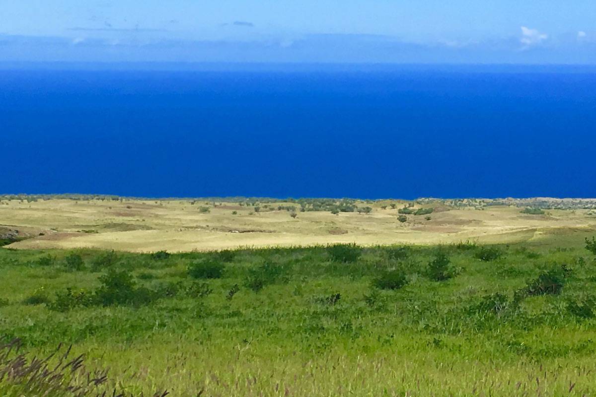 Kamuela, HI 96743,59-644 UALANI PL