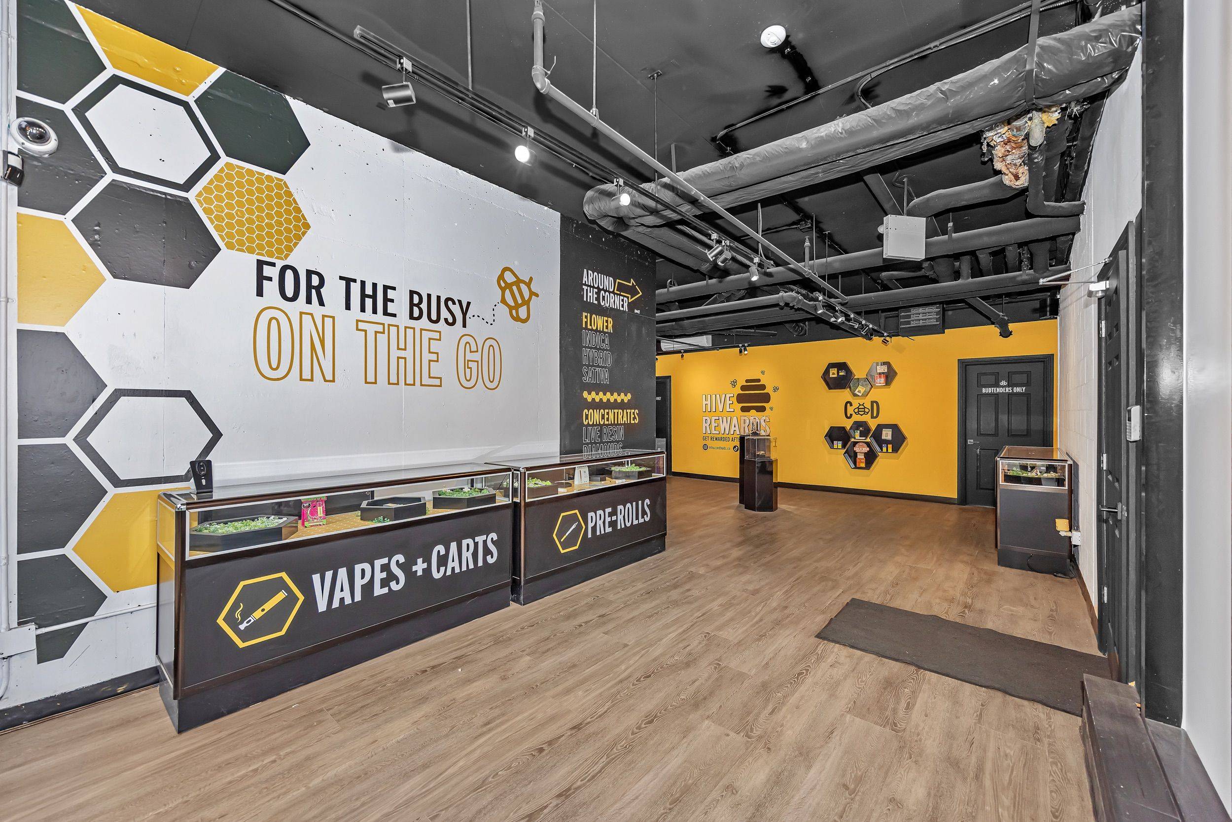 Lower Town - Sandy Hill, ON K1N 1J8,179 George ST #101