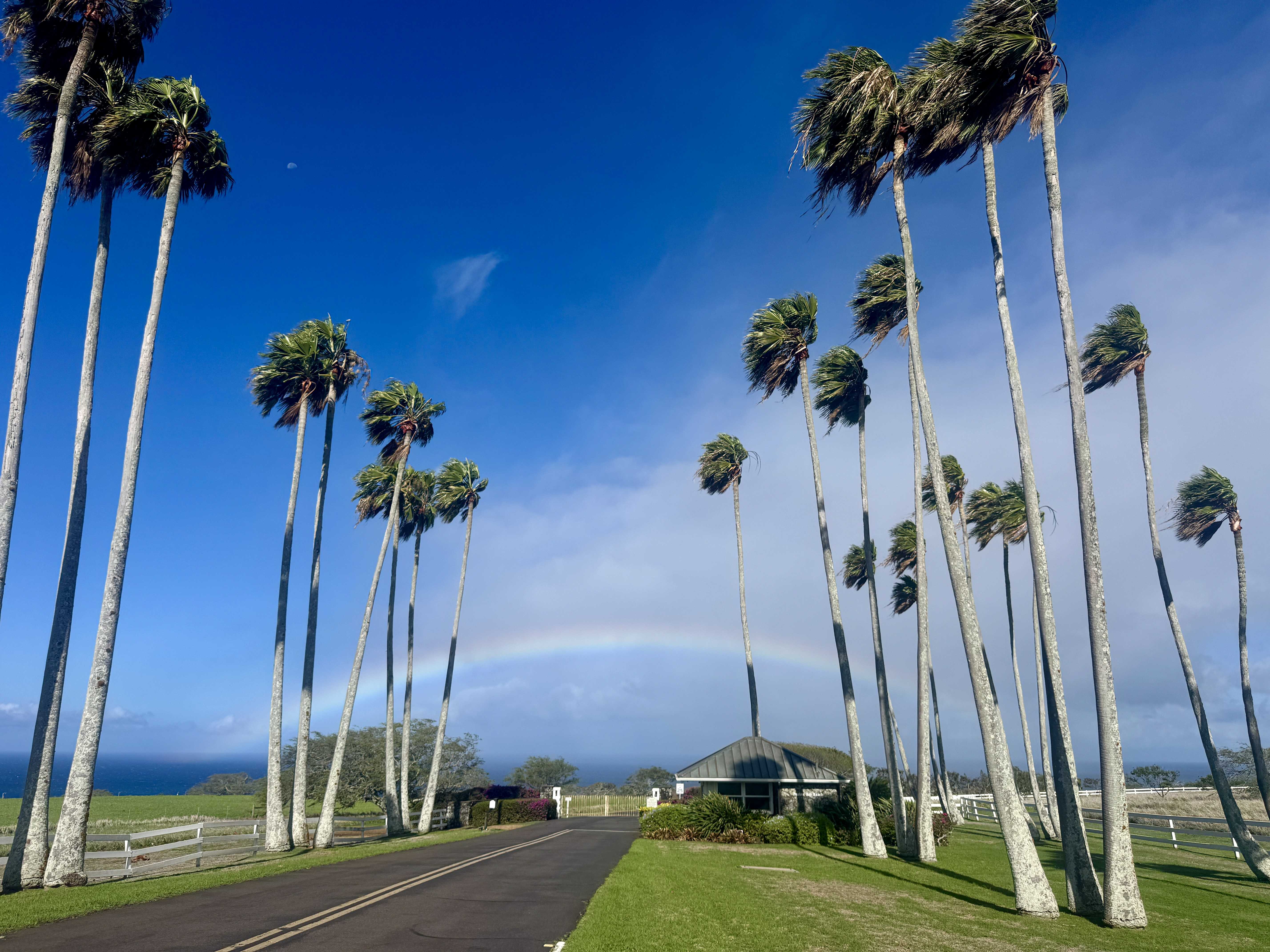 Hawi, HI 96719,56-2891 HALEAKALA VIEW PL