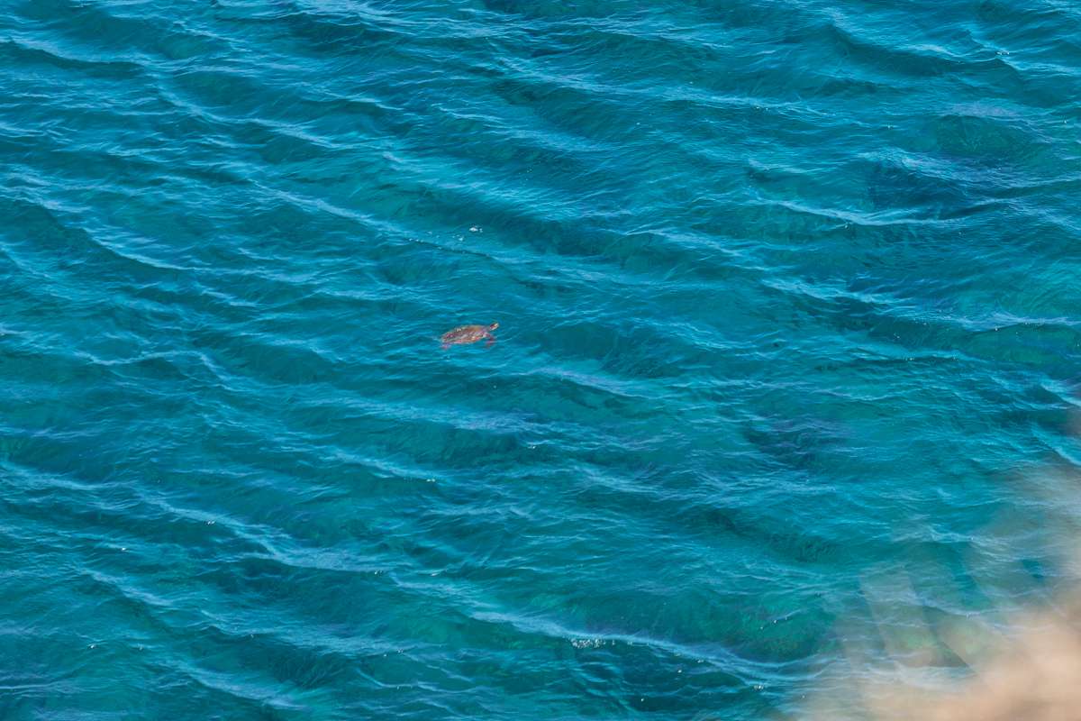 Hawi, HI 96719,56-2891 HALEAKALA VIEW PL