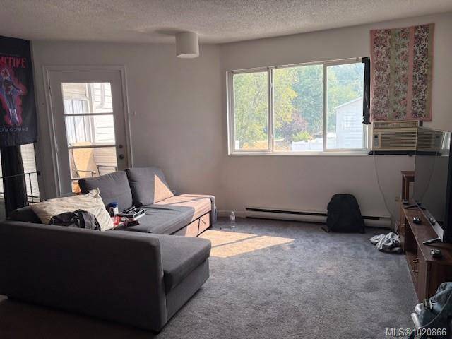 Port Alberni, BC V9Y 6L1,5287 Gertrude St