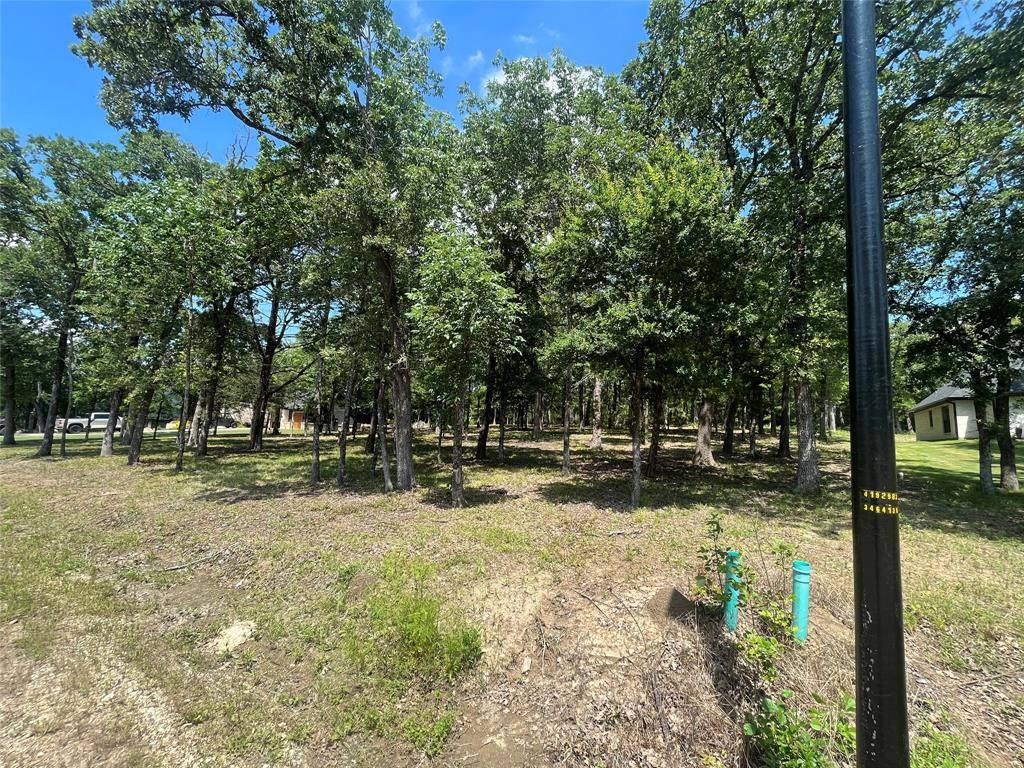 Mabank, TX 75147,0000 Oakbend