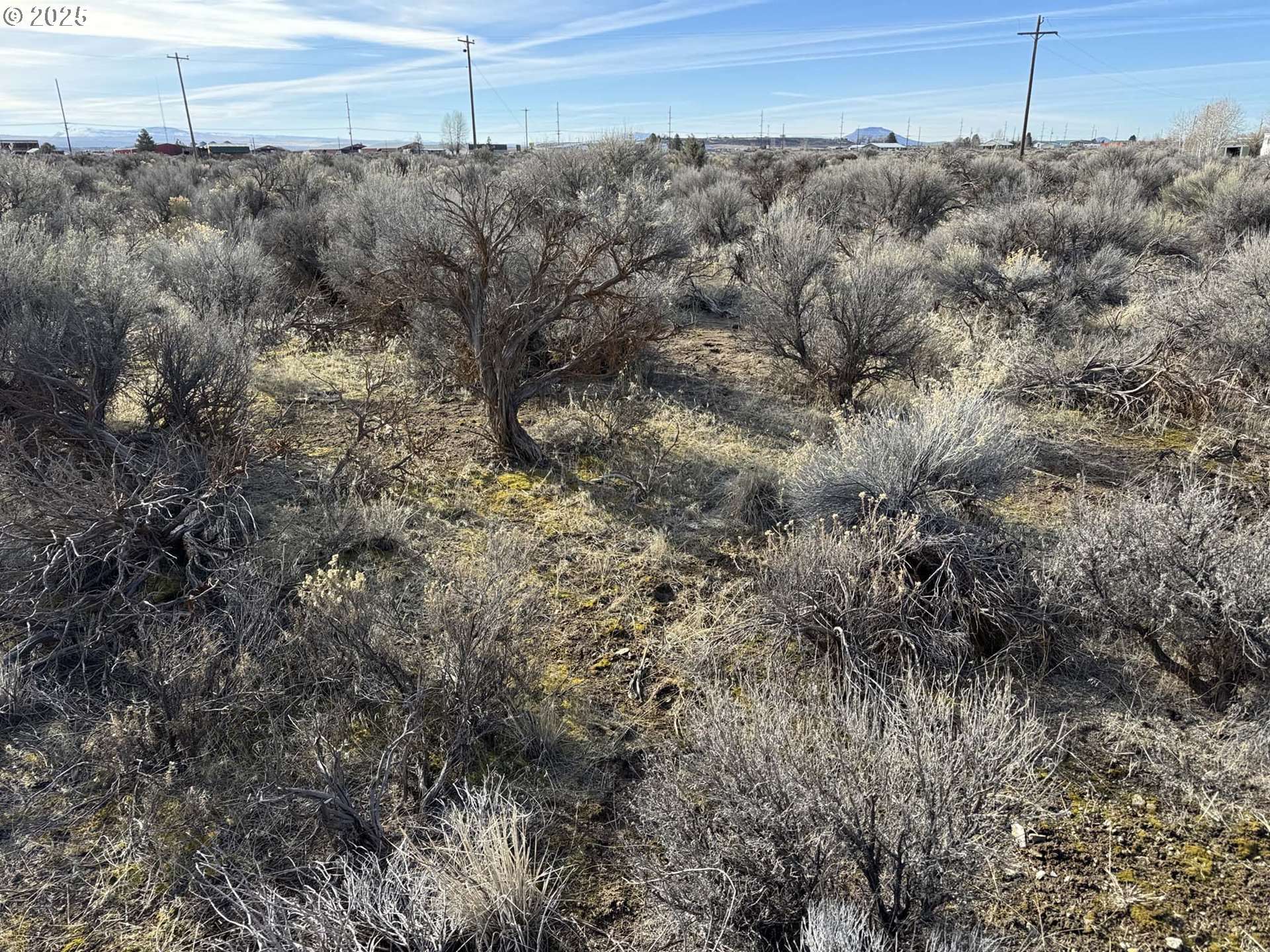 Christmas Valley, OR 97641,Aspen #20800