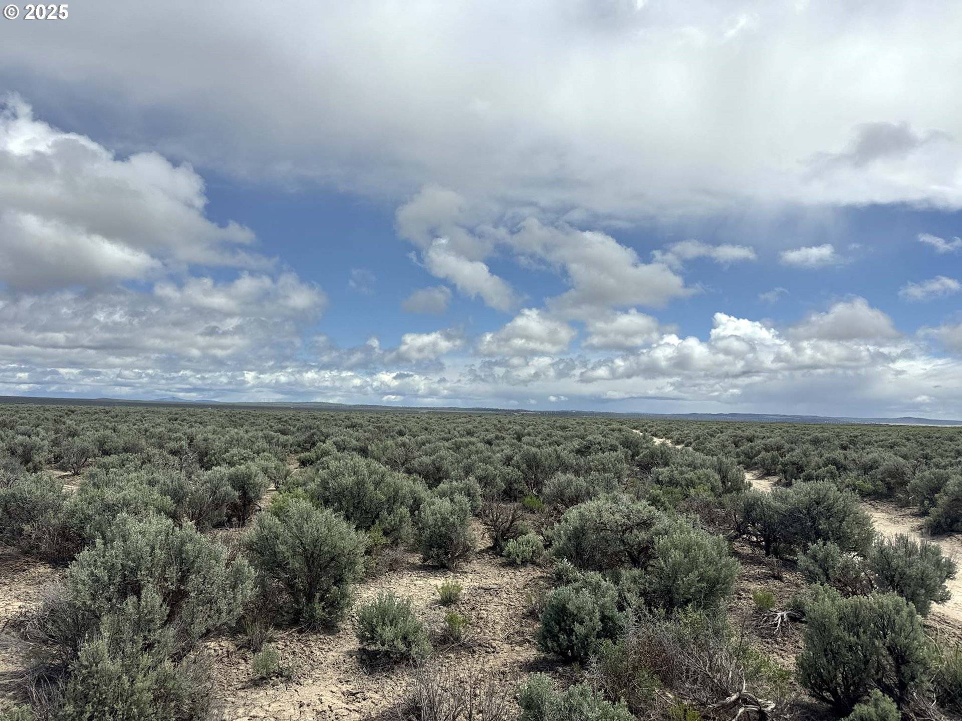 Christmas Valley, OR 97641,KNA Lost Forest Lane #4700