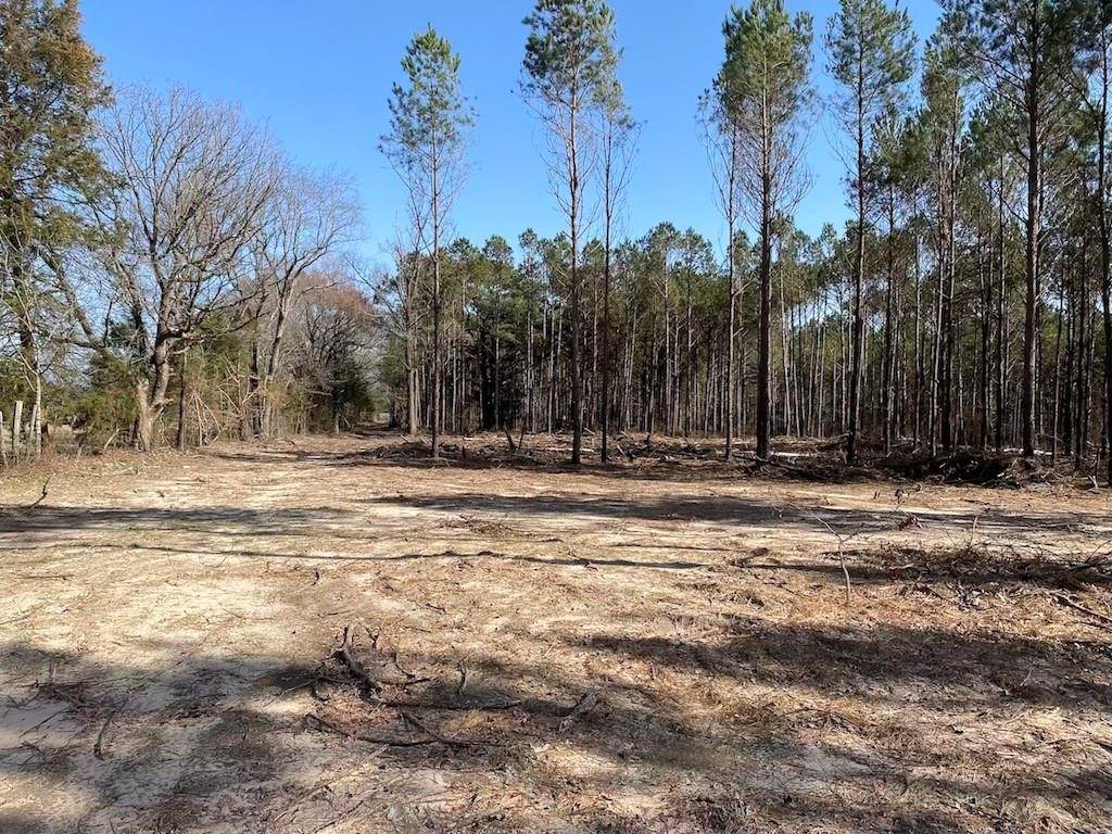 Hughes Springs, TX 75656,tbd SEE SURVEY FM 250