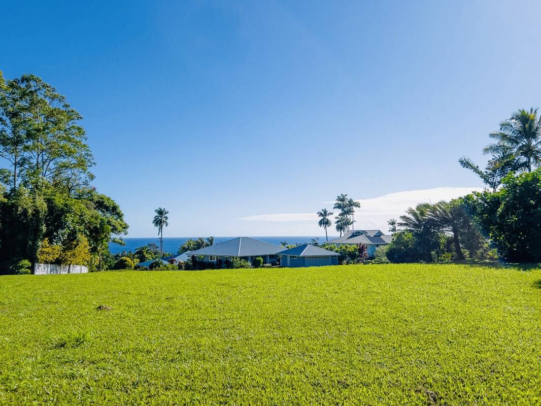 29-2291 HANAMALO LOOP, Hakalau, HI 96710