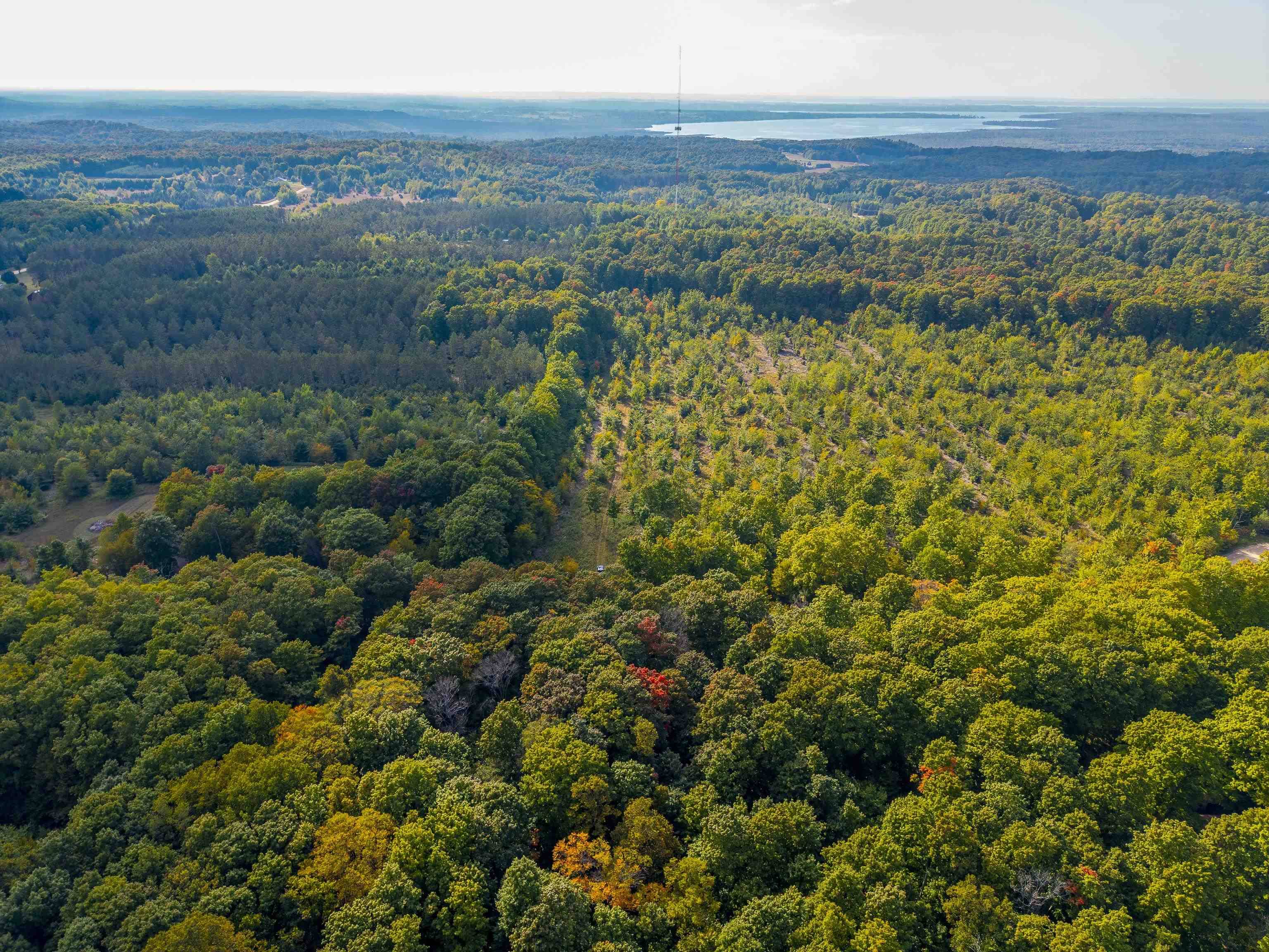 Rapid City, MI 49676,VL 12.5A NW Walker Road, Nw