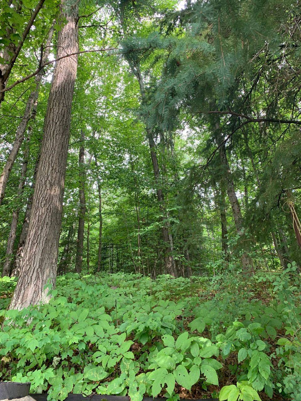 Bancroft, ON K0L 1C0,198 Gaebel RD